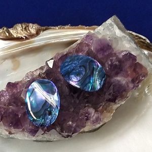 Genuine Mother of Pearl Paua Shell Clips